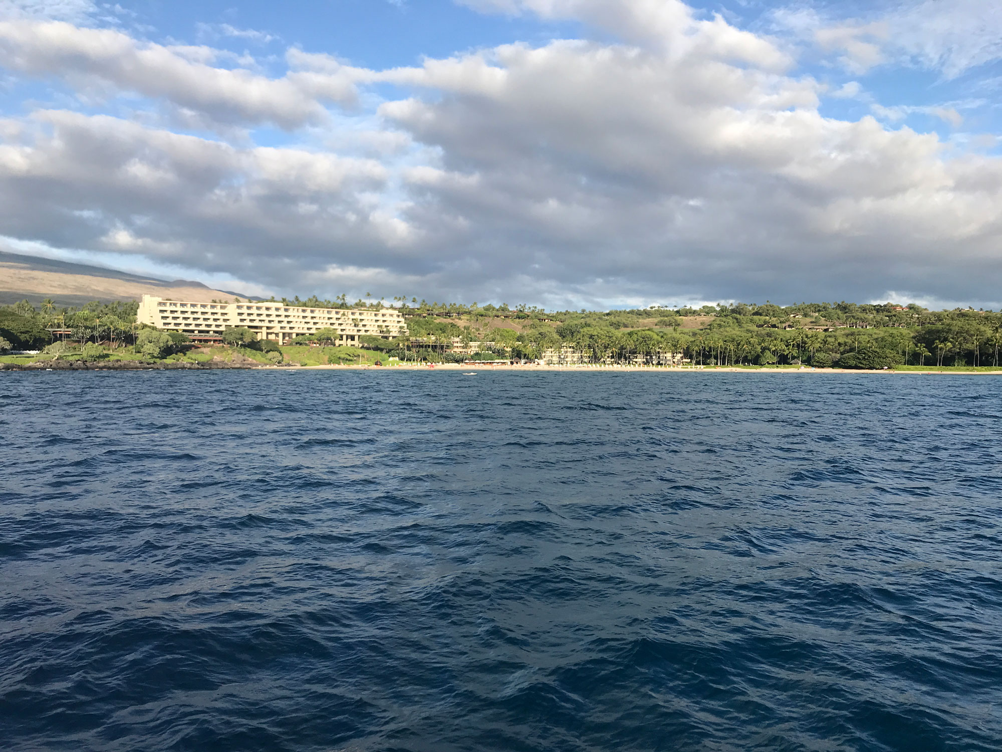 Bluescape Executive Summit 2019 Recap